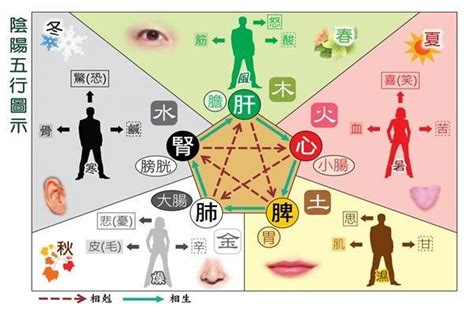 五行 水 行業|五行屬水的行業別或職業